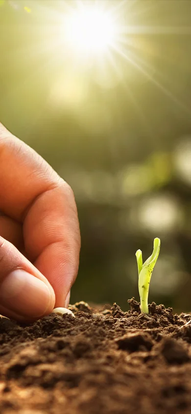 Bioestimulantes de amplio espectro